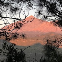 Фото отзыва 3: экскурсия ""