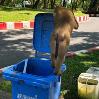 Фото отзыва 4: экскурсия ""