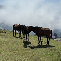 Фото отзыва 2: экскурсия ""