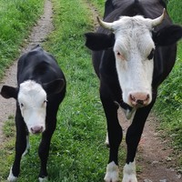 Фото отзыва 6: экскурсия ""